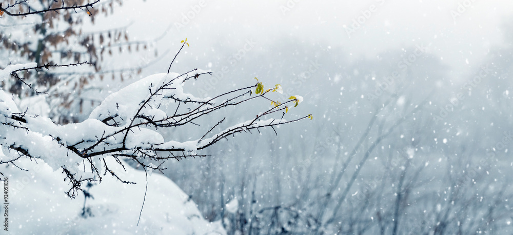 Poster a branch of a tree near a river covered with a large cap of snow during a snowfall