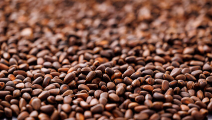 Top view Texture fresh brown pine Cedar nuts in shell as background banner