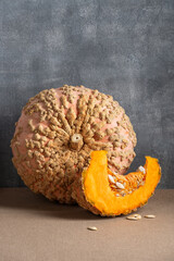 Galeux d Eysines Pumpkin on Table