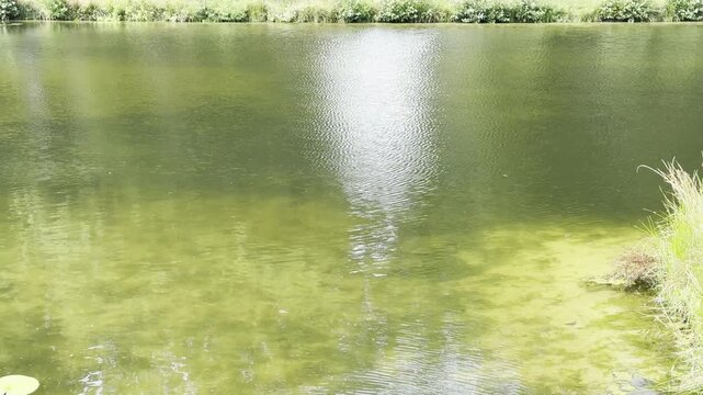 Meer in Gelderland, Nederland