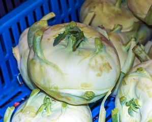 Freshly picked kohlrabi for sale at an outdoor farmers market. Turnip cabbage or Brassica oleracea
