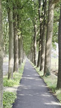 groen in de provincie Gelderland