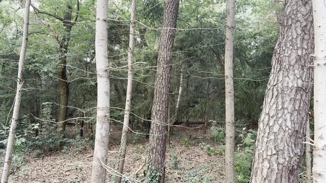 groen in de provincie Gelderland