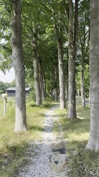 groen in de provincie Gelderland