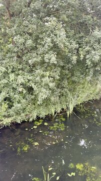 groen in de provincie Gelderland