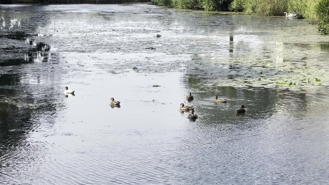 Meer in Gelderland, Nederland
