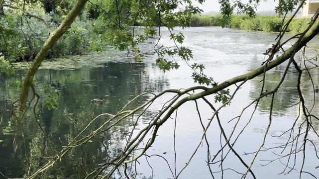 Meer in Gelderland, Nederland