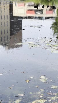 Meer in Gelderland, Nederland