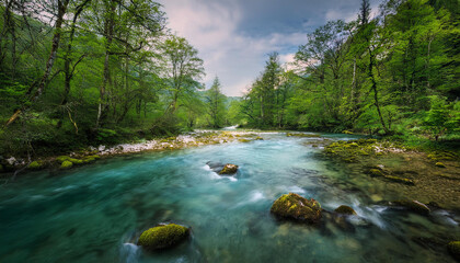 Obraz premium river in the forest