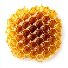 Closeup of Honeycomb Filled with Honey