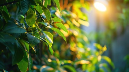 Eco-friendly LED lighting solutions for efficient power usage, promoting sustainability AI generated