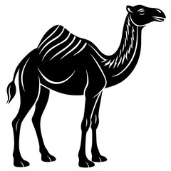 Dromedary silhouette vector illustration on white background