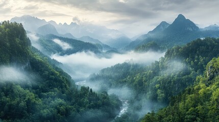 Misty Mountain Landscape