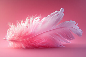 Obraz premium An elegant hand-drawn feather in white against 