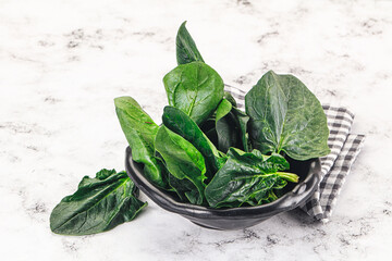 Ripe green spinach leaves heap
