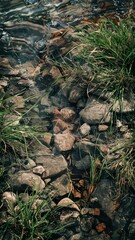 water, ripples, abstract, reflection, calm, serene, fluidity, nature, tranquil, liquid, wave, peaceful, texture, surface, pattern, environment, ocean, aquatic, flow, natural beauty