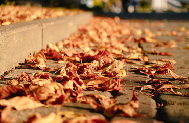 Autumn season atmosphere. Wind moves dry yellow fallen leaves lying on ground of park by curb. Low angle view close-up. Roadside by pavement. Sunny evening weather. Natural background. Fall concept