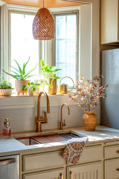 Light and bright kitchen workstation sink with houseplants