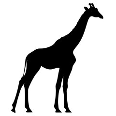 Obraz premium vector silhouette of a giraffe on a white background . Generative AI