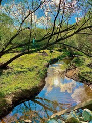 Little Mulberry Park, Dacula, GA