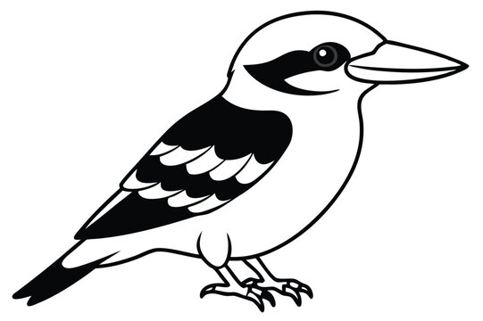 recommend clip art: kookaburra silhouette vector illustration .