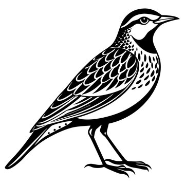 black and white bird standing profile clip art preview