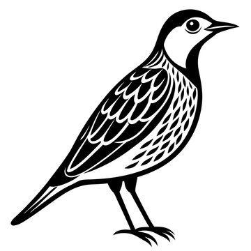 black and white bird standing profile clip art preview