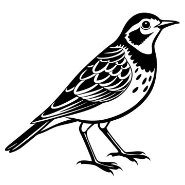 black and white bird standing clip art preview