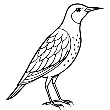 recommend clip art: Meadowlark Vector Illustration - SVG Files, Cricut Cut Files, Vector Clipart, Graphic Element for T-Shirt Design