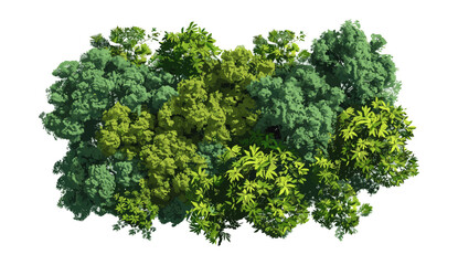 Lush green tree canopies 3D render vector illustration, Top view jungle green tree, Natural green forest tree, tree for nature design, green forest tree texture, detailed green forest canopy