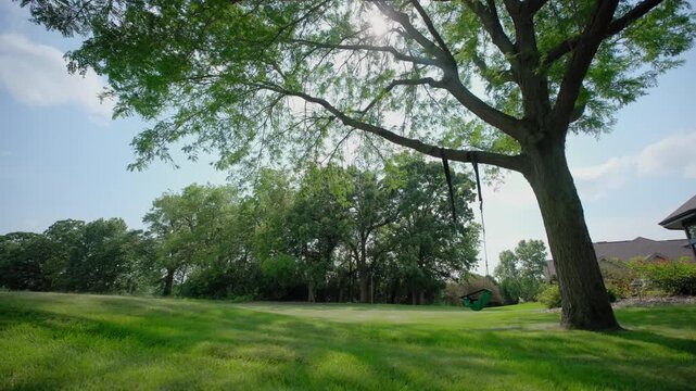Wooden Tree Swing in a backyard. Wide shot