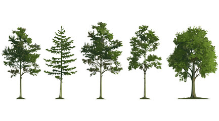 Isolated vector illustration of tall eco trees, environmental tree shapes on transparent background, outdoor eco-friendly growth, sustainable nature design, green tree silhouettes.