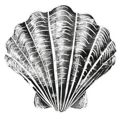 PNG Simple sea shell icon art invertebrate chandelier.