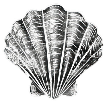 recommend clip art: PNG Simple sea shell icon art invertebrate chandelier.