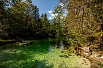 Slovenia river green turquoise nature forest