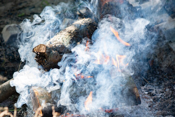 dym z ogniska
