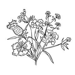 Wild field flowers contour doodle bouquet. Monochrome seasonal botanical outline stickers with carnation, forget me not, tansy and thistle flowers. Vector clipart isolated on white background