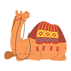 bikaner camel festival in india