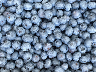 Lots of Fresh Delicious Blueberries. Texture close-up view of fresh bluberries. High quality photo
