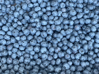 Lots of Fresh Delicious Blueberries. Texture close-up view of fresh bluberries. High quality photo