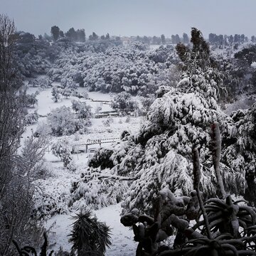 SNOW ON POMEZIA