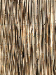 Reed wall