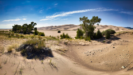 Great Sand Dunes View