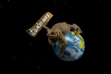 Image of the planet Earth floating in space with a frog on top and a sign with the text, it is also...