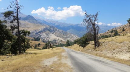 Fototapeta premium Summer view from Llogara pass