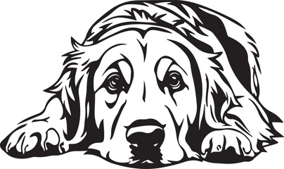 Golden Retriever Dog Lying Down Stylized Vector Illustration