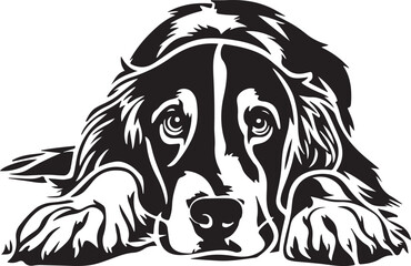 Fototapeta premium Irish Setter Dog Lying Down Stylized Vector