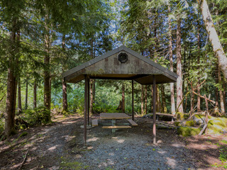 covered mossy picnic table in the woods