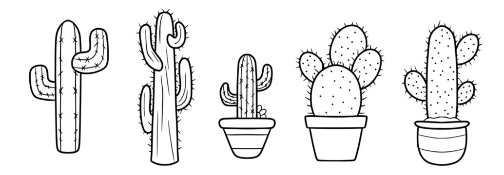 Set of cactus outline linework cacti vector SVG