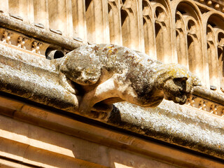 , The Monasterio de San Juan de los Reyes near the Tagus River, Toledo, Spain,  looking at the Cat Statue on the Courtyard Wall, July 16, 2014: Toledo, looking at Spain